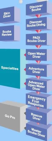 corsi sub Padi, corsi sub adulti, scuba diver, open scuba diver, rescue diver, open water 
